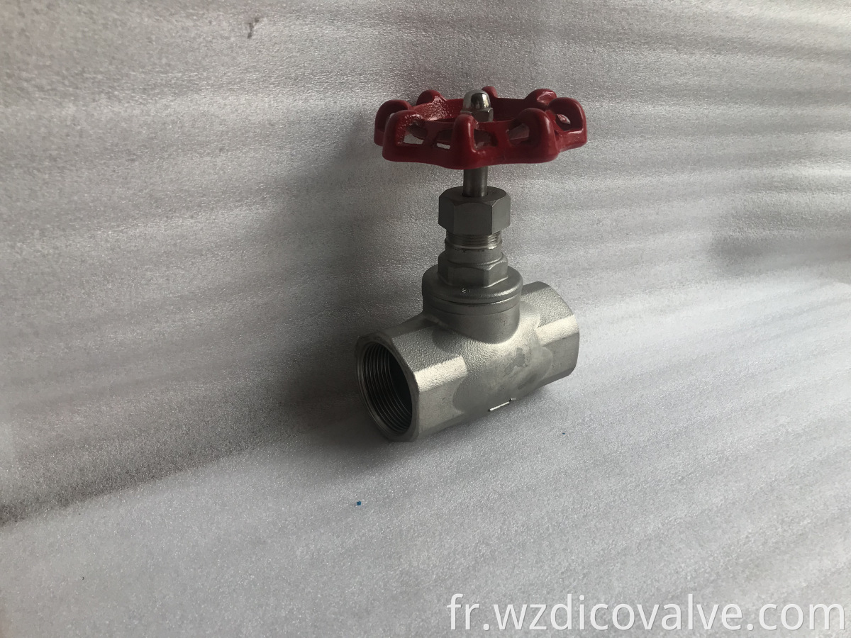 globe valve